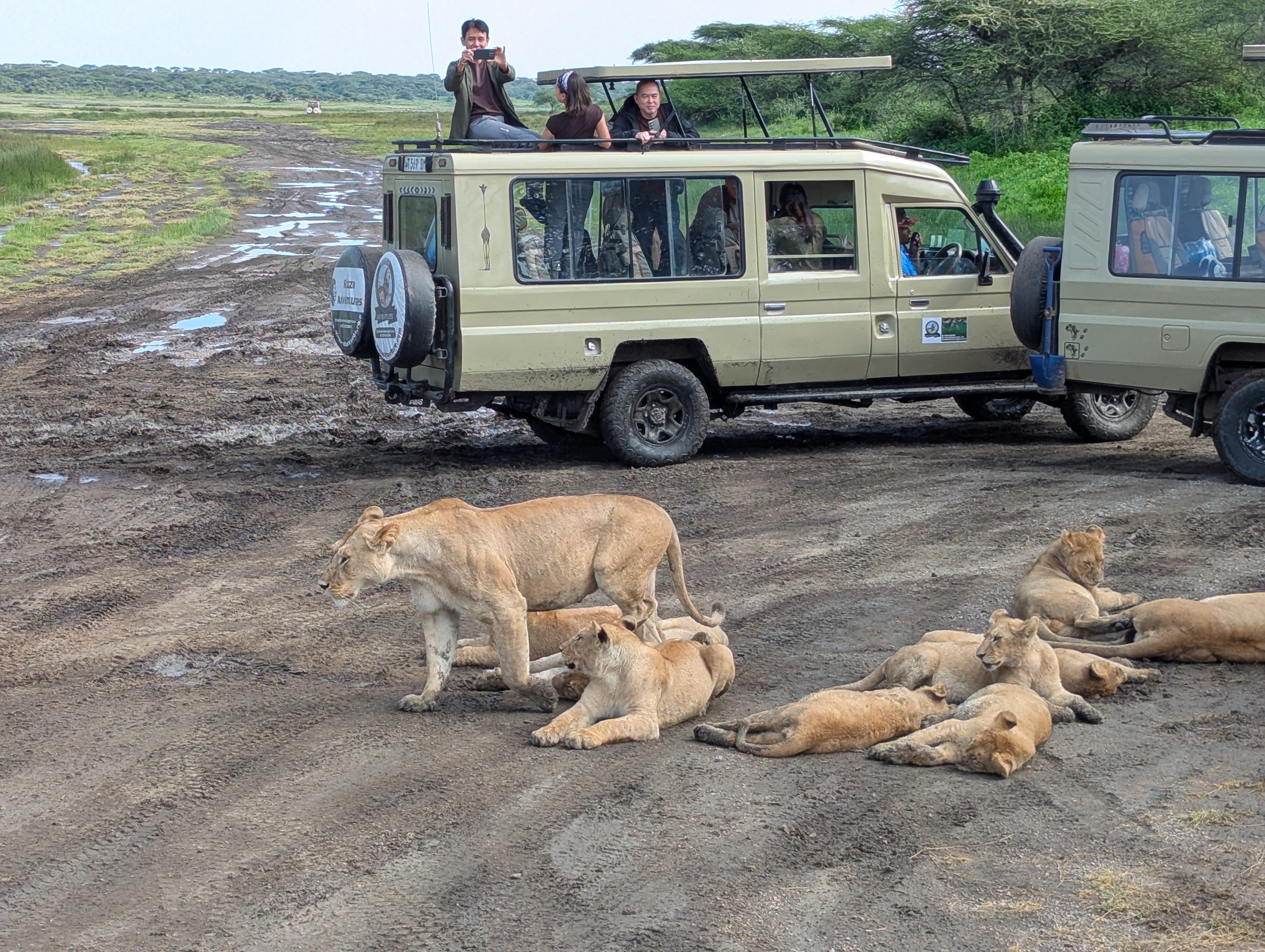 kenya and tanzania group joining safari 2026-2028 | kizza adventure 
